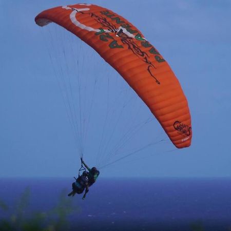 Villa Bord De Mer Au Moule เลอ มูเล่ ภายนอก รูปภาพ